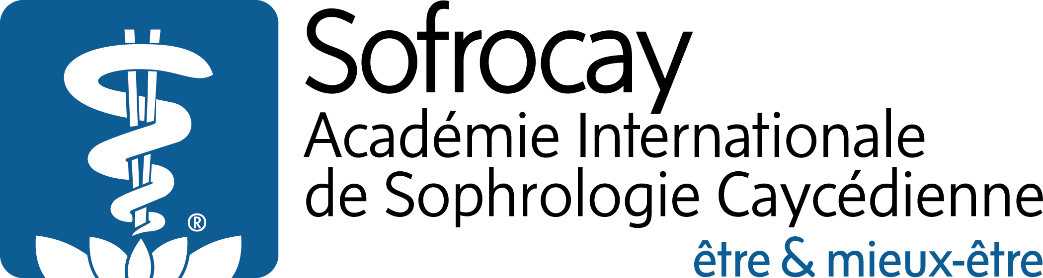 Logo Sofrocay 2
